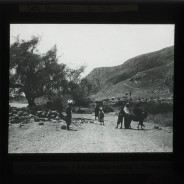 Böhl glass slide 61.2/1741